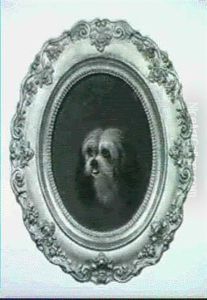 Chiens De Salons