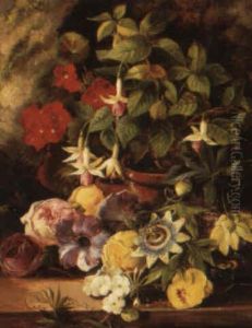 A Still Life With Geranium And Fuschia And Other Flowers On A Ledge