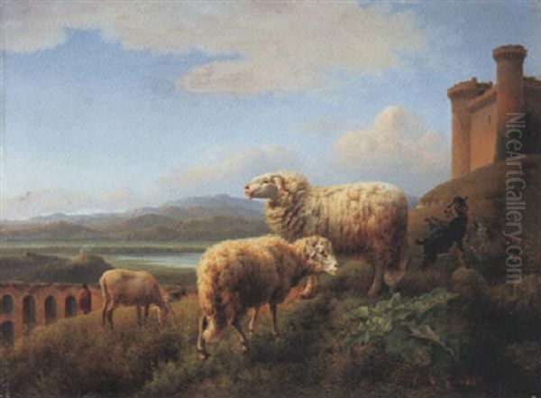 Rastende Schafherde In Italienischer Landschaft - view 1