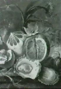 Fruchte Und Austern by Johann Hermann Knoop