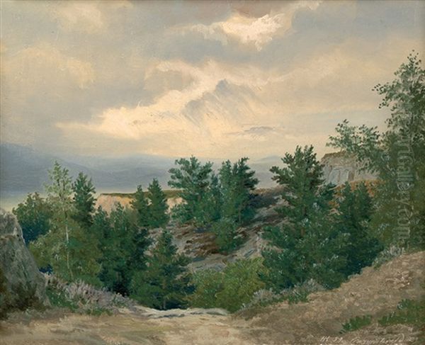 Am Regenstein Im Harz Nach Einem Gewitter - view 1