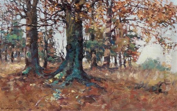 Beech Wood In Autumn - view 1