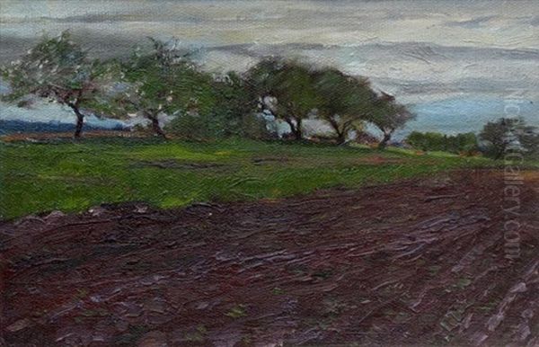 Spring Blossoms And Tilled Soil - view 1