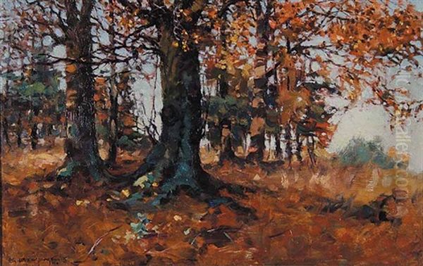 Birch Wood In Autumn - view 1