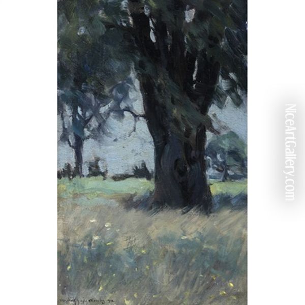 Landscape At Dusk - view 1