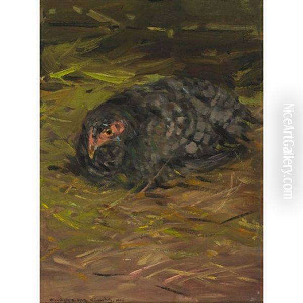 Resting Bird - view 1
