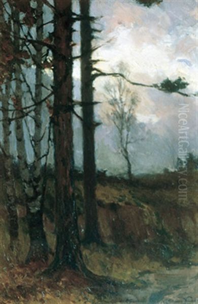 Edge Of The Forest, Sunset - view 1