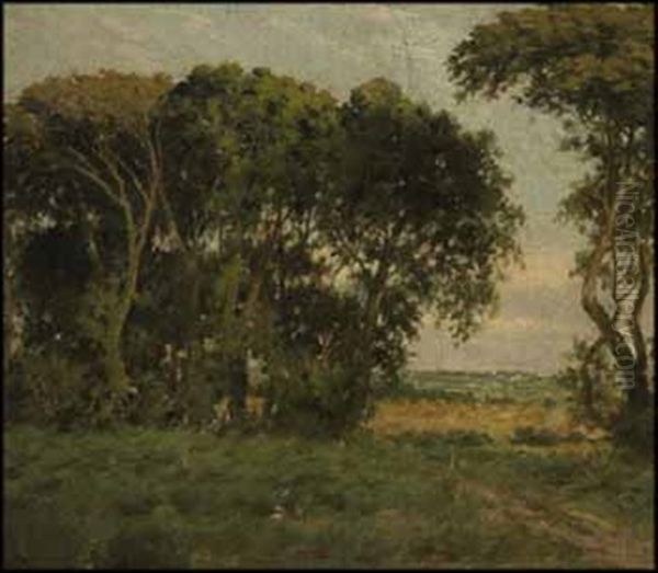 Landscape - view 1