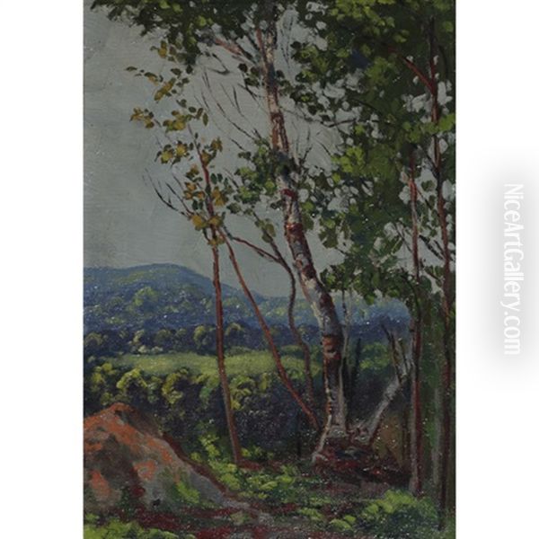 Landscape - view 1