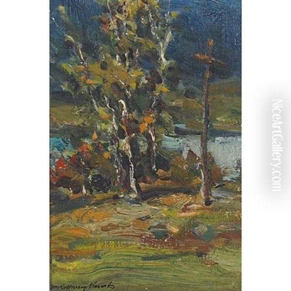 In The Adirondacks - view 1