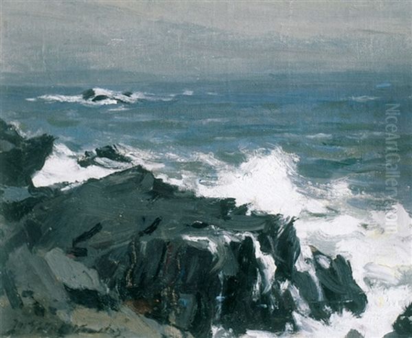 Crashing Surf - view 1