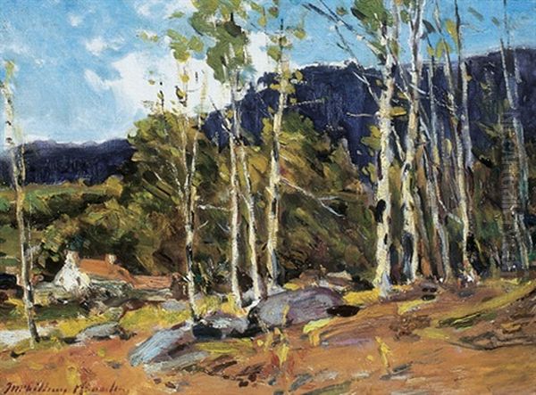 Summer Landscape - view 1