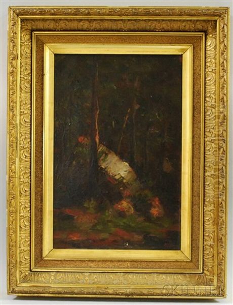 Woodland Interior - view 1