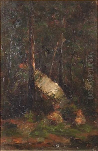 Woodland Interior - view 1