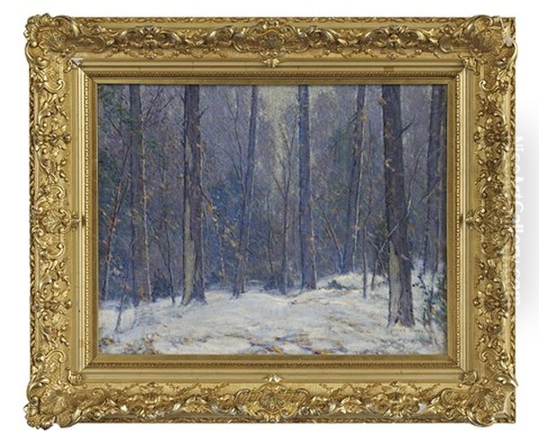 Woodland Snow - view 1
