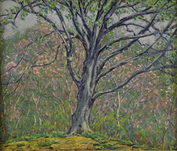 Blooming Tree - view 1
