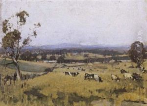 Grazing Paddocks