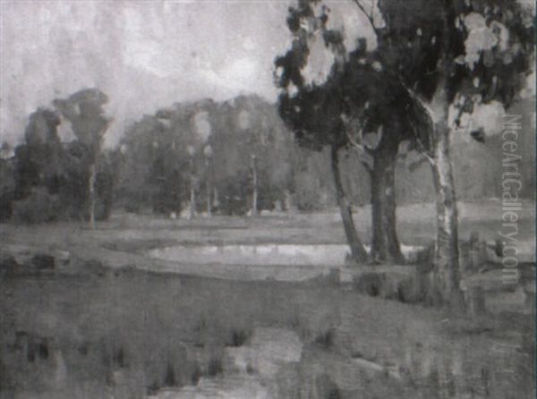 Fading Light - view 1