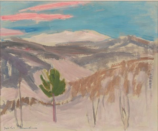 Mountainous Landscape - view 1