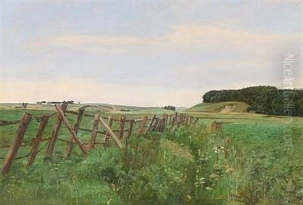 Landscape - view 1