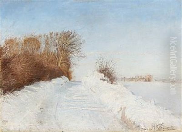 Winter Day In Denmark - view 1