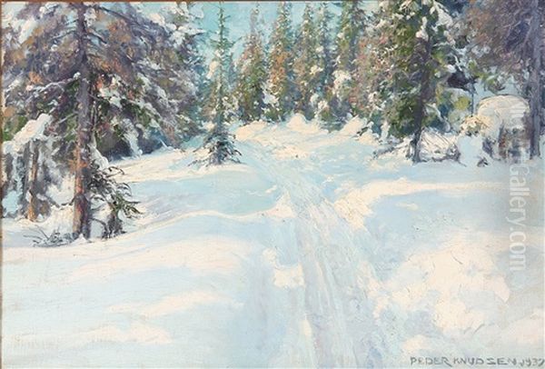 A Path Through A Forest On A Sunny Winter Day - view 1