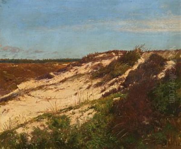 Sand Dunes - view 1