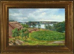 Landscape From Finland