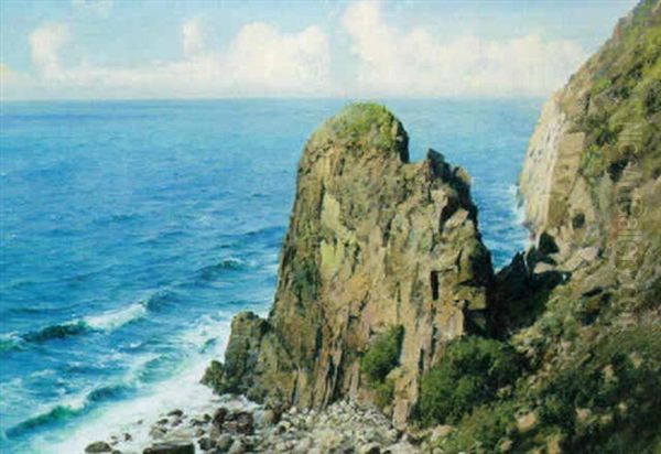 A Rocky Coastal Outcrop - view 1
