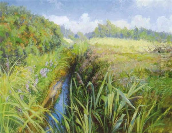 Parti Fra Skagens Klitplantage, Sommer - view 1