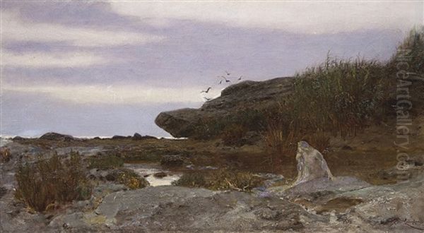 Primorska Nalada - view 1