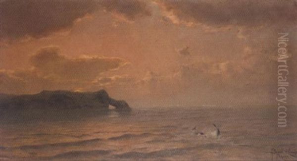 Dolphins - view 1