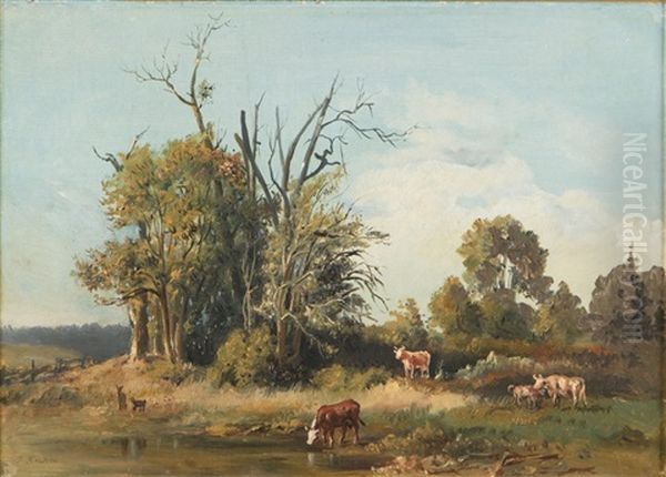Cows Having Pasture At Shore - view 1