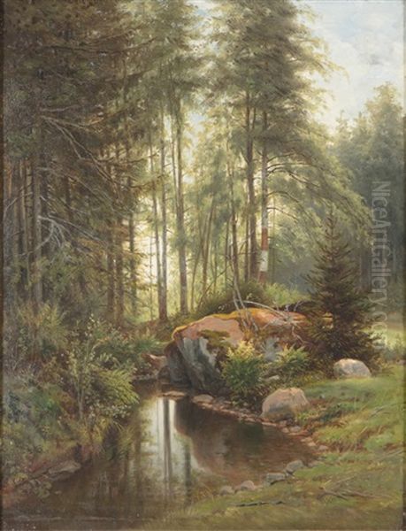 Forest Landscape - view 1