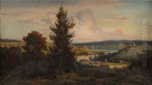 View Over A Summer Landscape