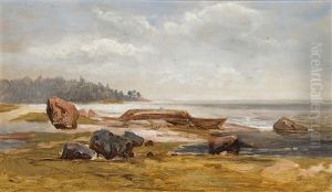 Desolate Shore
