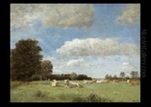 Vaches Au Prairie