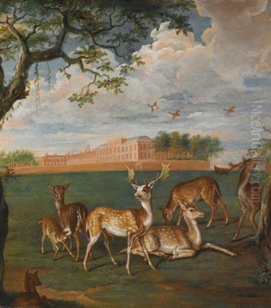 Fallow Deer In The Royal Park, Kensington - view 1