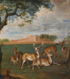 Fallow Deer In The Royal Park, Kensington
