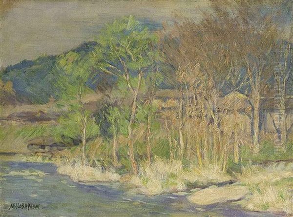 Landscape - view 1