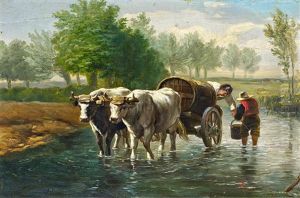 Bauern Mit Ochsenkarren Im Wasser