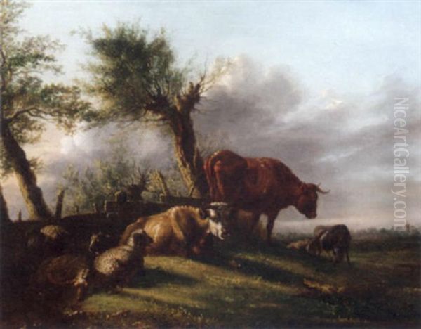 Cattle And Sheep By The Edge Of A Meadow - view 1