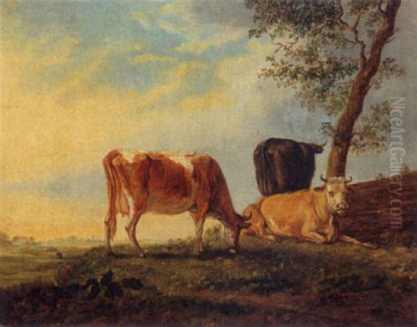 Cows In A Meadow - view 1