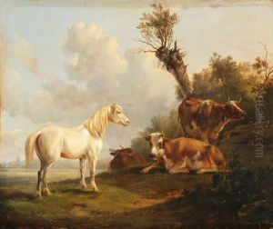 Pferde Und Kuhe Auf Der Weide Pferde Und Kuhe Auf Der Weide