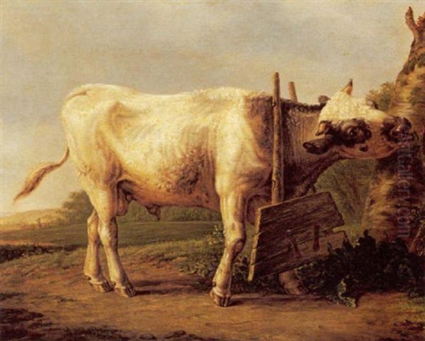 Bull In A Restraint - view 1