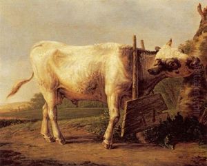Bull In A Restraint