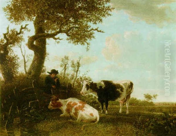 Cows Grazing In A Meadow - view 1