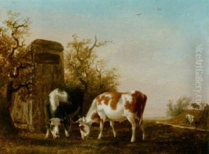 Cows In A Meadow by Jan Kobell the Younger