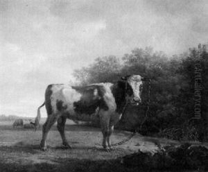 Stier Auf Der Weide by Jan Kobell the Younger