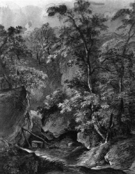 Bewaldete Schlucht - view 1